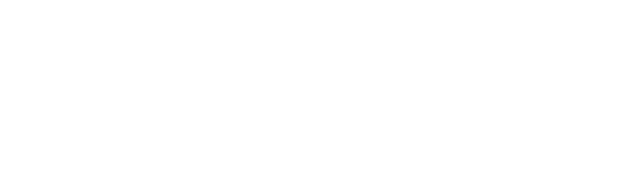 Williston Financial Group